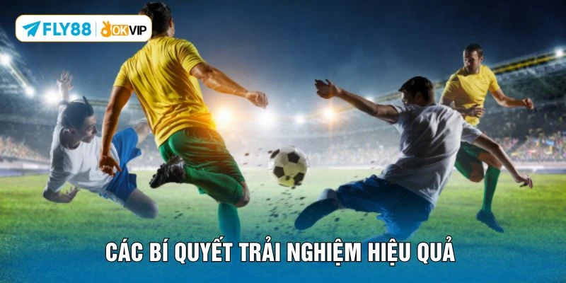 Các bí quyết trải nghiệm hiệu quả